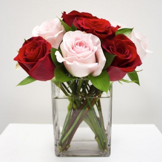 Red and Pink Roses in a Cube